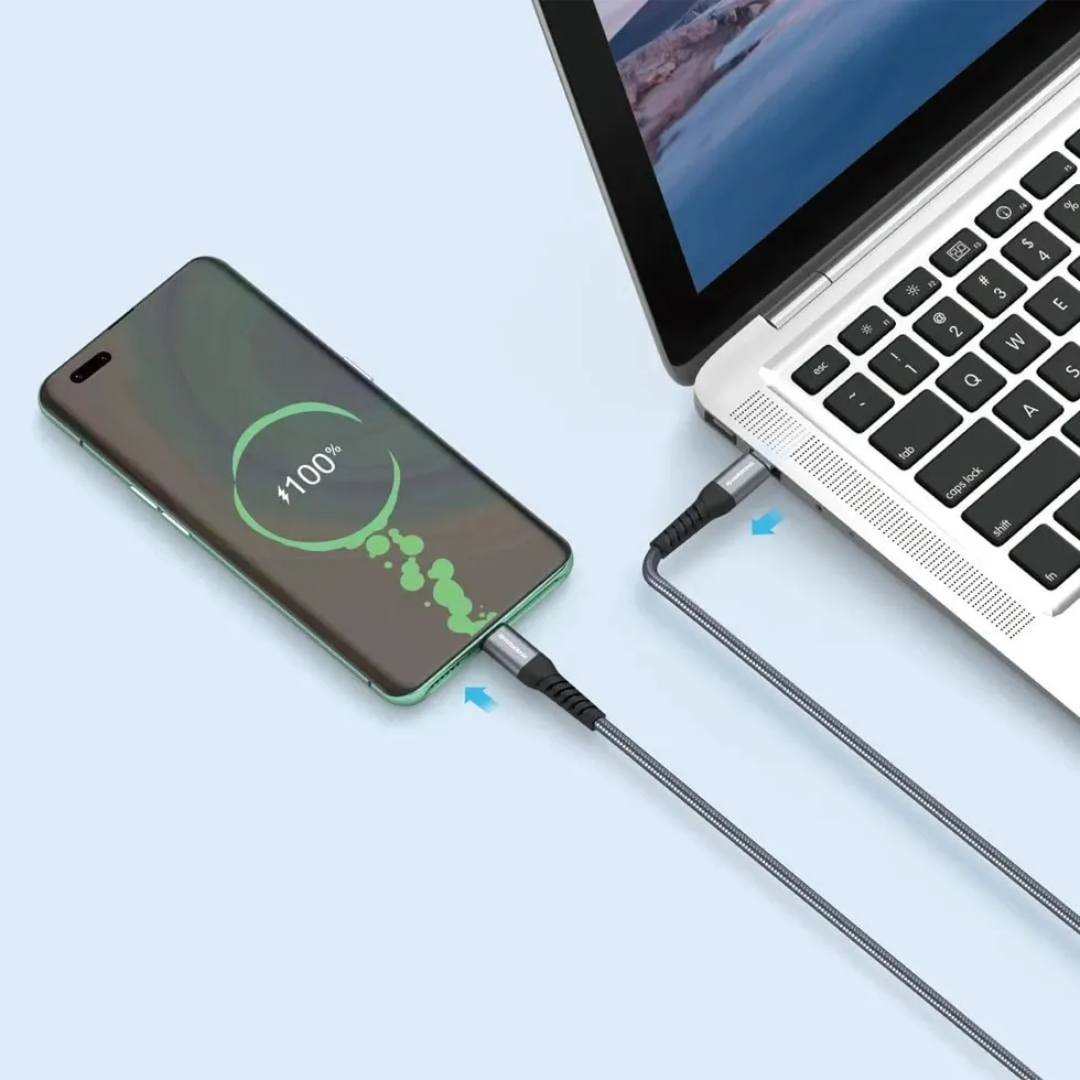 Riversong HERCULES Type C to Type C 100W (2 m)