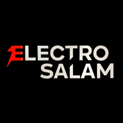 Electro Salam logo